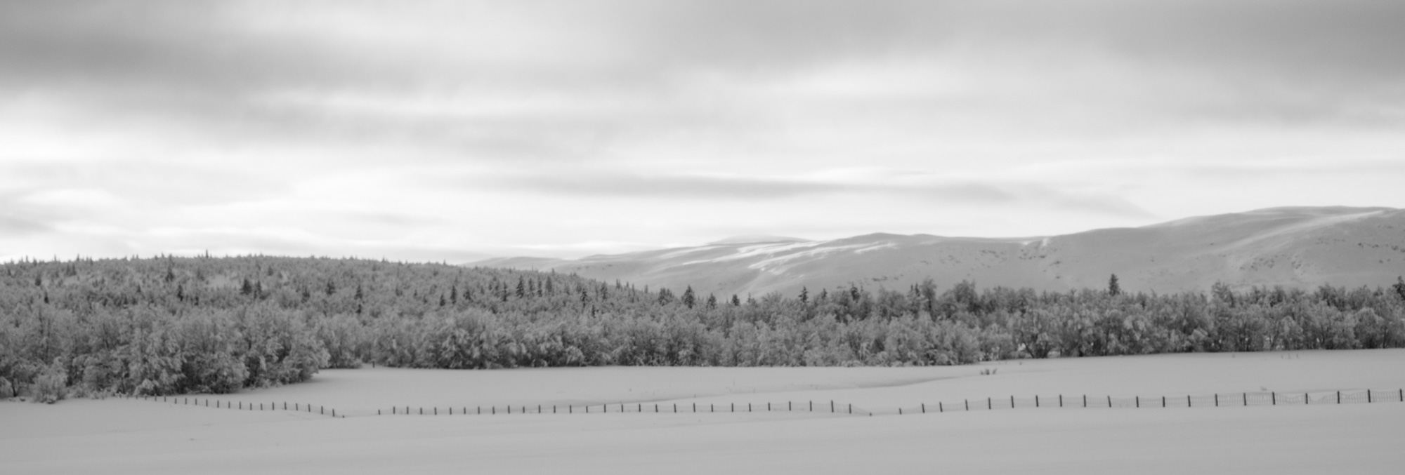 2024 01 04  xt 5   7714